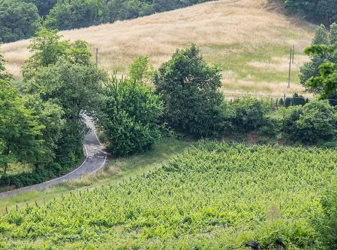 Fattorie Di Montechiaro Séjour à la ferme Sasso Marconi